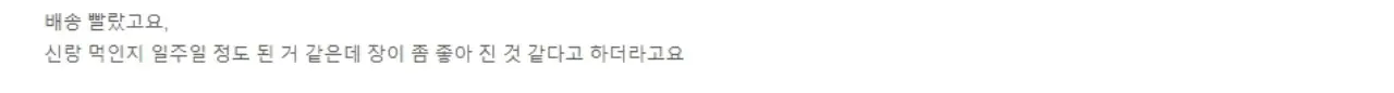 뉴티365 뉴티락 내돈내산 후기