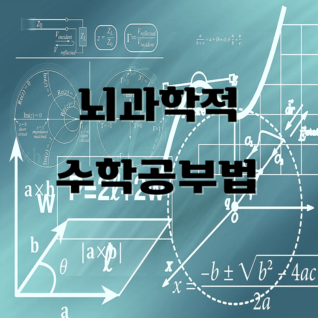 뇌과학 수학공부