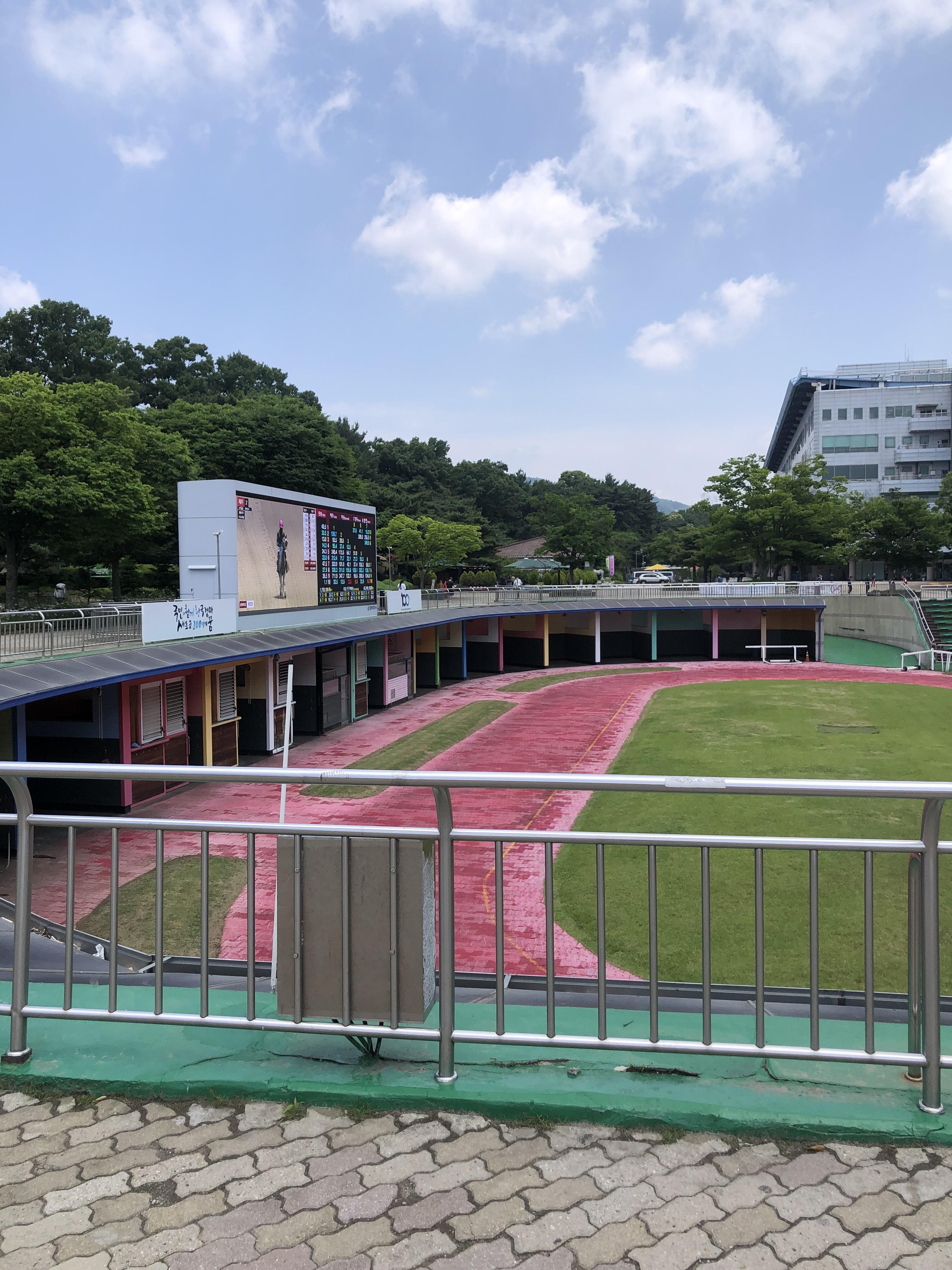 경마공원 렛츠런파크 사진
