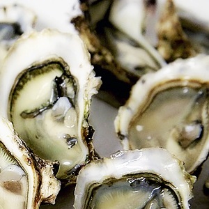 굴효능 6 간기능 개선