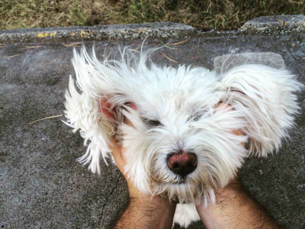 인기 있는 콘텐츠 유형