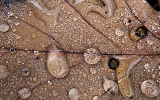 2025 장마 기간&amp;#44; 지역별 예상 일정