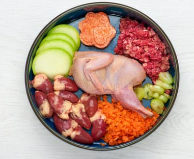 강아지 더위 먹었나? 여름 보양식 BEST 7