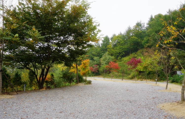 양평수목원캠핑장