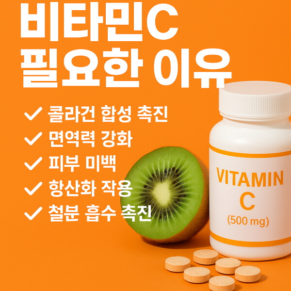 비타민C 효능/GPT