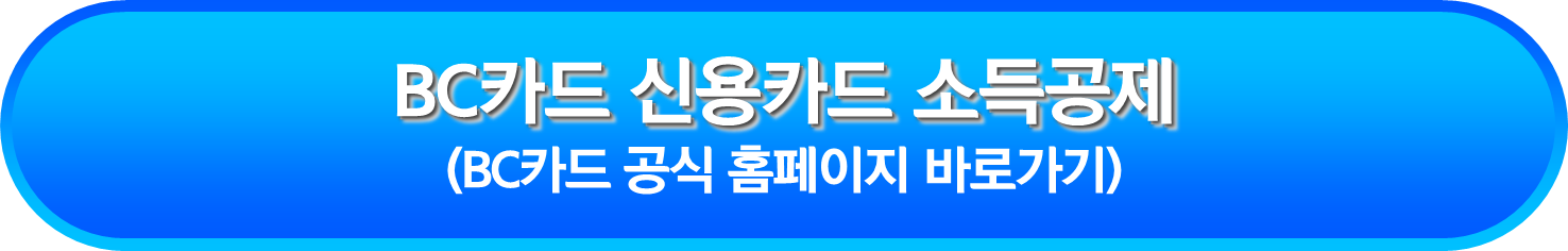 BC카드 신용카드 소득공제