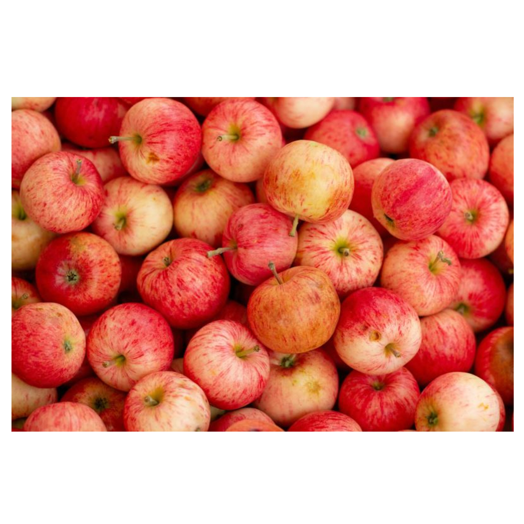 용종과 관련된 사진입니다.