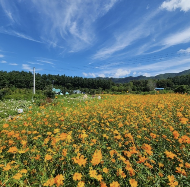 용수골 가을 사진1