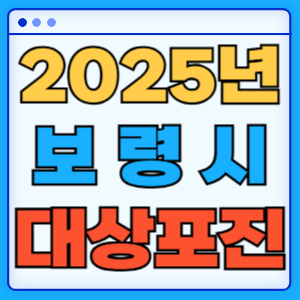 2025 충청남도 보령시 대상포진 백신 무료 예방접종 비용지원 신청방법 대상자 준비서류