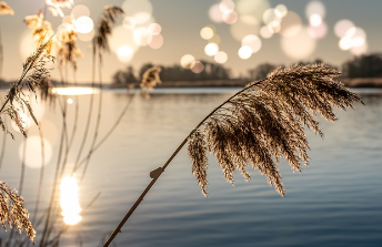 새희망홀씨대출 조건 쉽게 정리 9