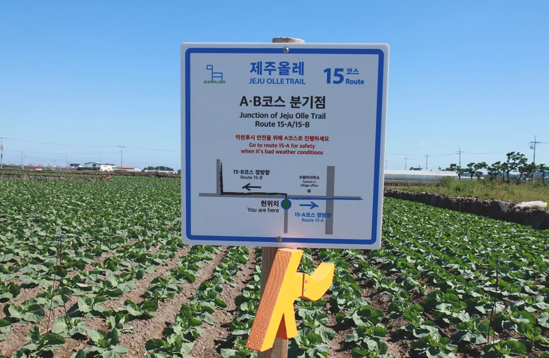 제주 올레길 15코스 A코스 완벽 가이드: 한림항부터 고내포구까지 걷는 내륙 트레일 안내