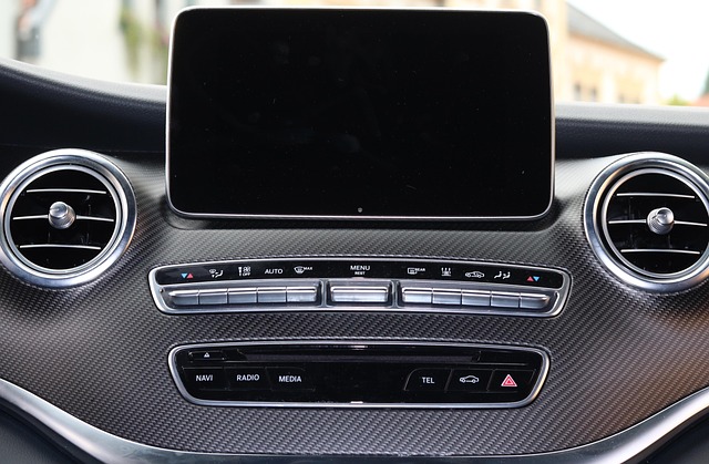 현대 제네시스 블루링크 사용 관련사진