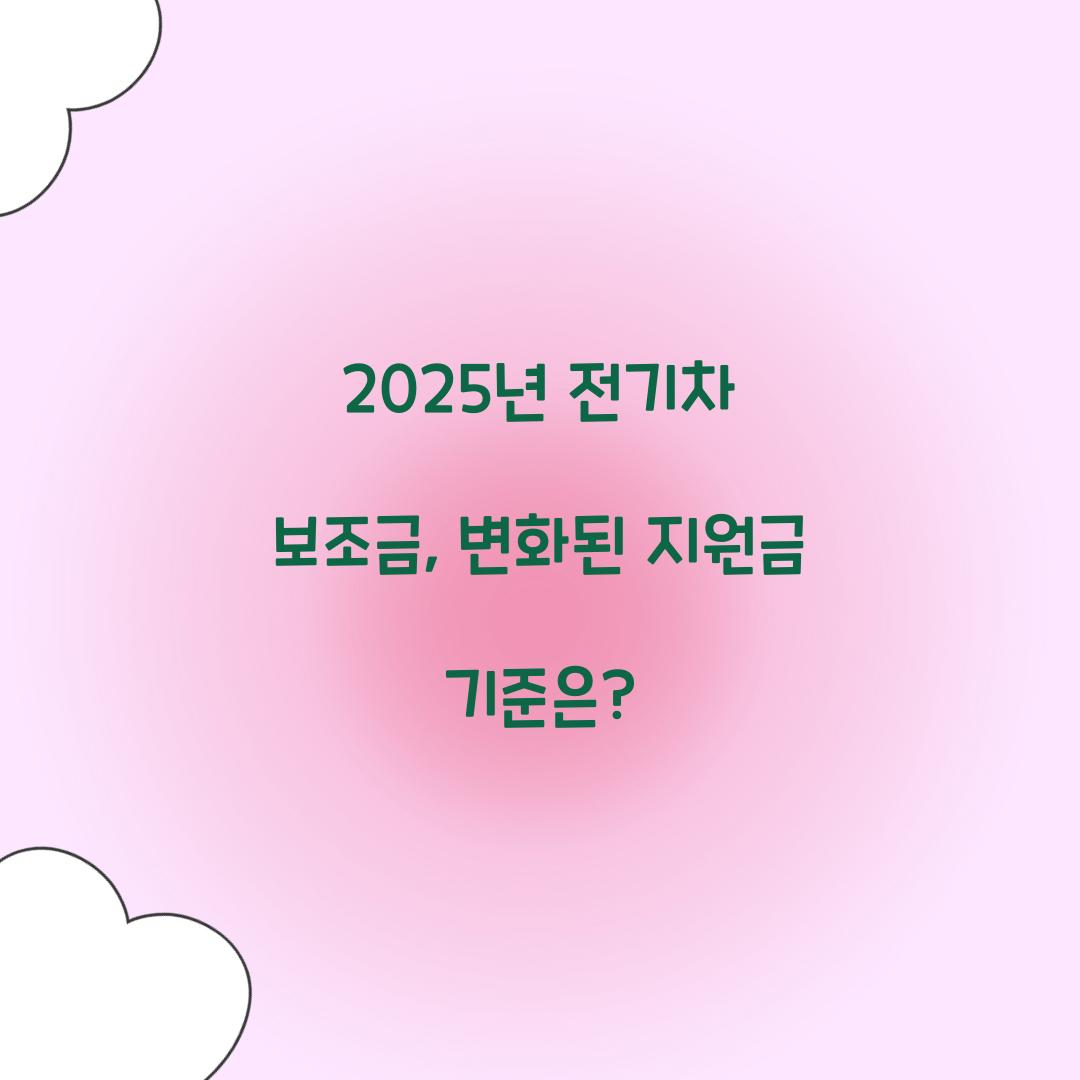 2025년 전기차 보조금
