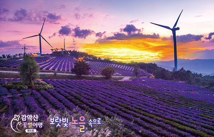 경남 9월 축제 (2)