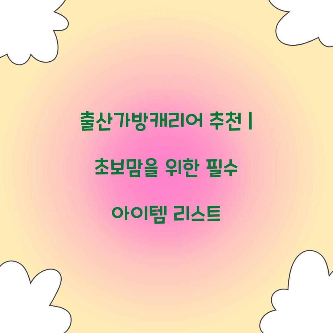 출산가방캐리어 추천
