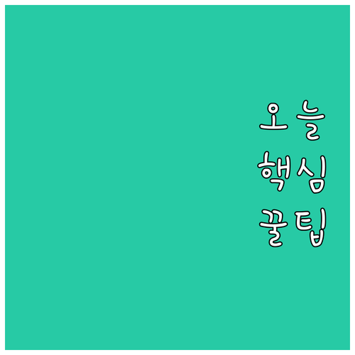 2024년 카드 사용 환급 혜택 상생..