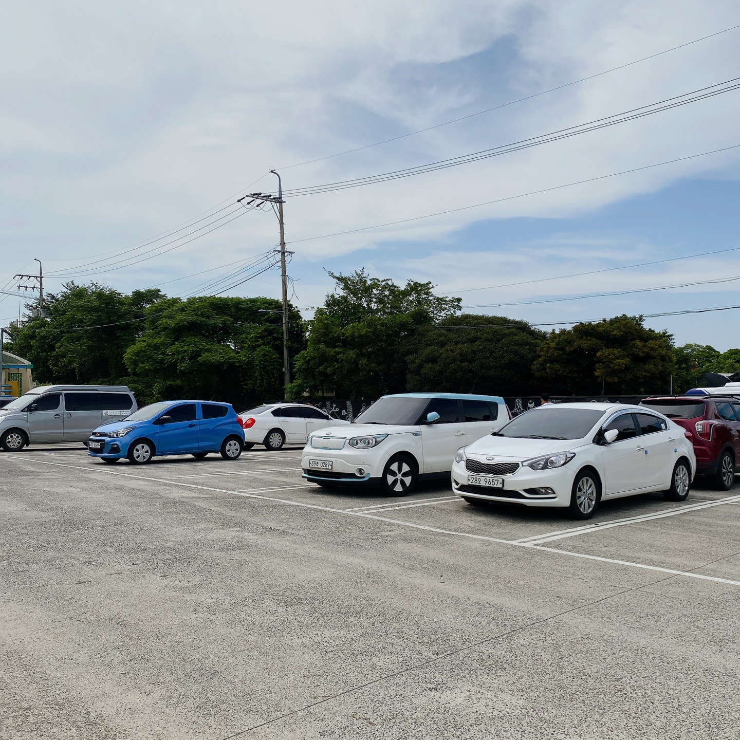 제주 노형동 러브랜드 정원카페 미스틱3도 피크닉 한라봉 흑돼지