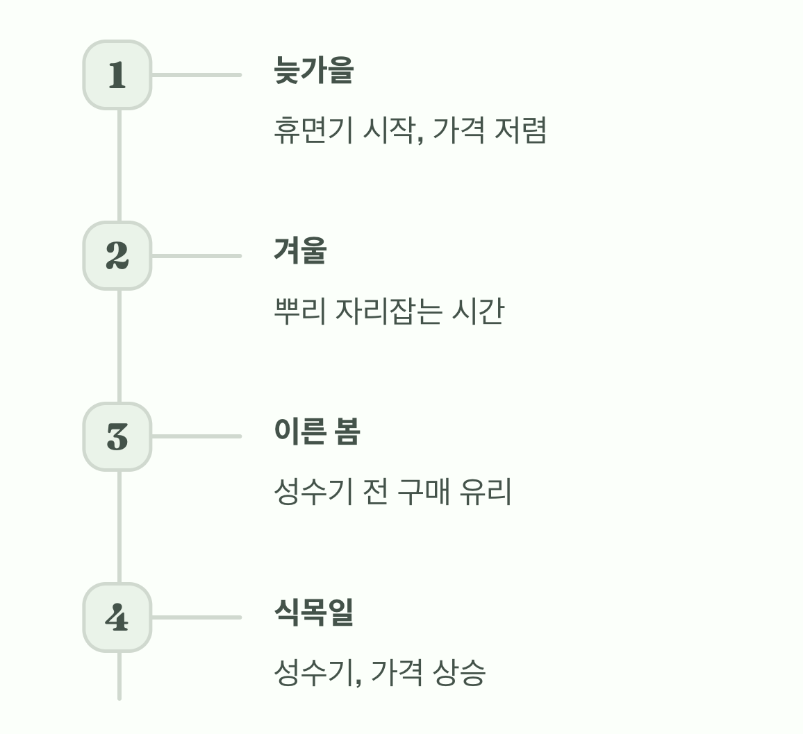 5. 저렴하게 구매하는 시기적 비결