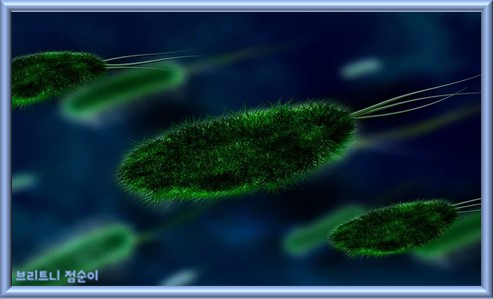 귀 통증 원인 오른쪽 머리 귀 뒤쪽 통증