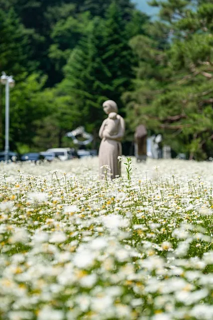 제천 가볼만한곳 베스트10 현지인 추천 필수코스_8