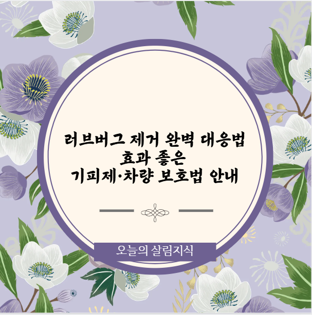 러브버그 제거 완벽 대응법 효과 좋은 기피제&middot;차량 보호법 안내