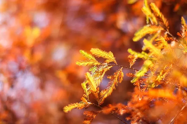 가을 여행지 베스트