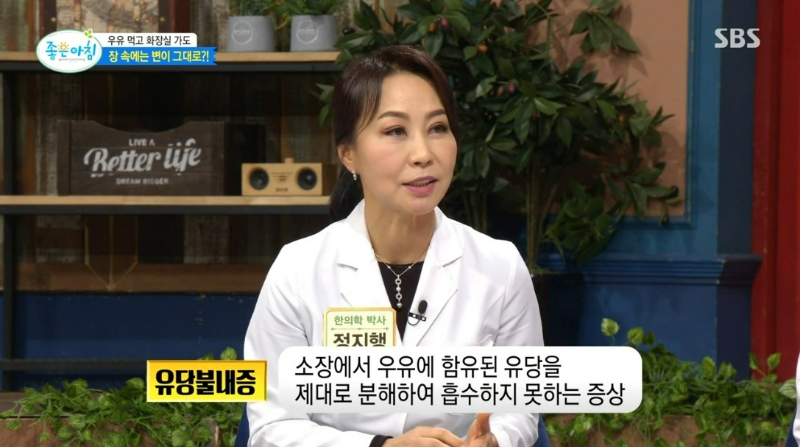 유제품 우유 치즈 유당불내증 변비