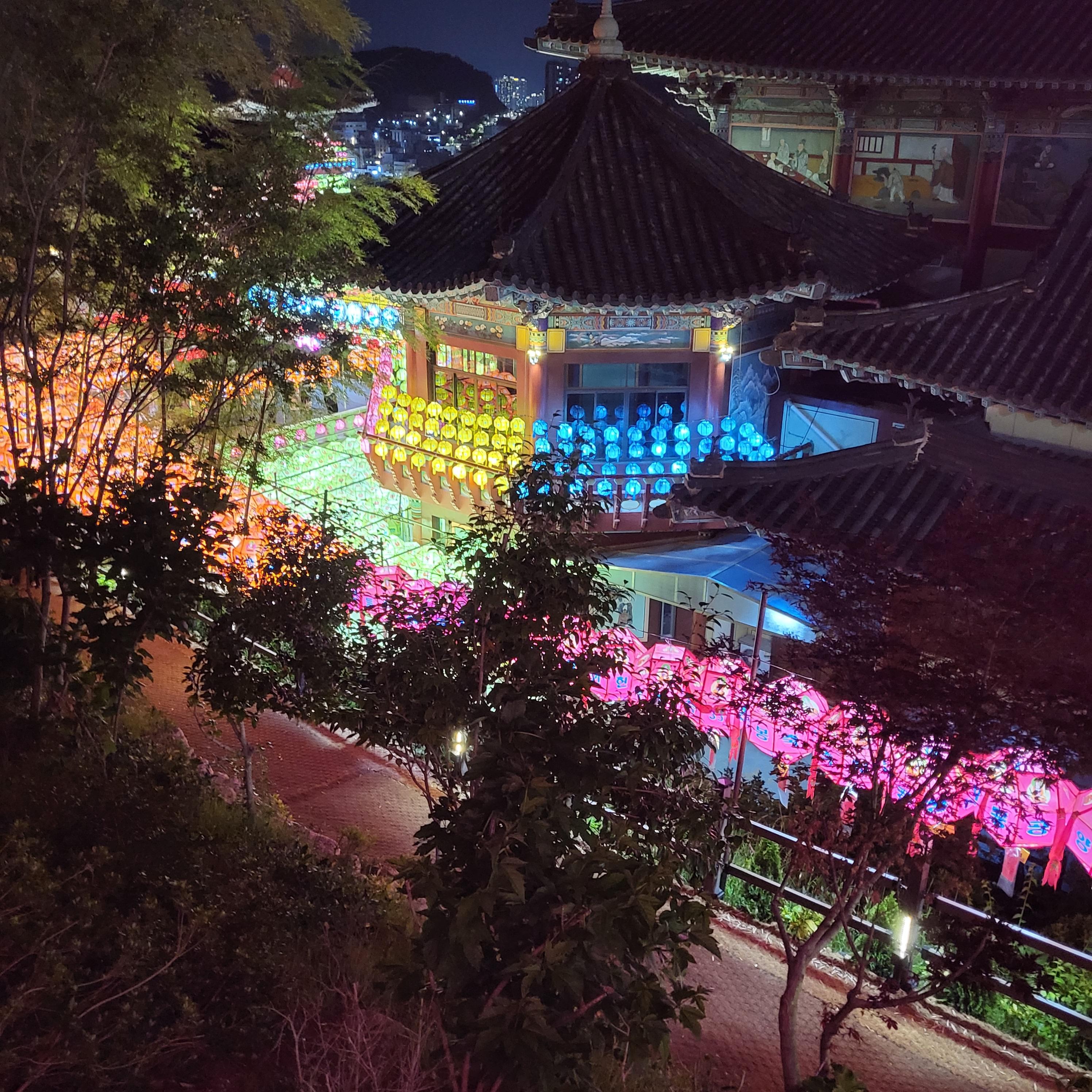 부산 삼광사 연등축제 보러가기