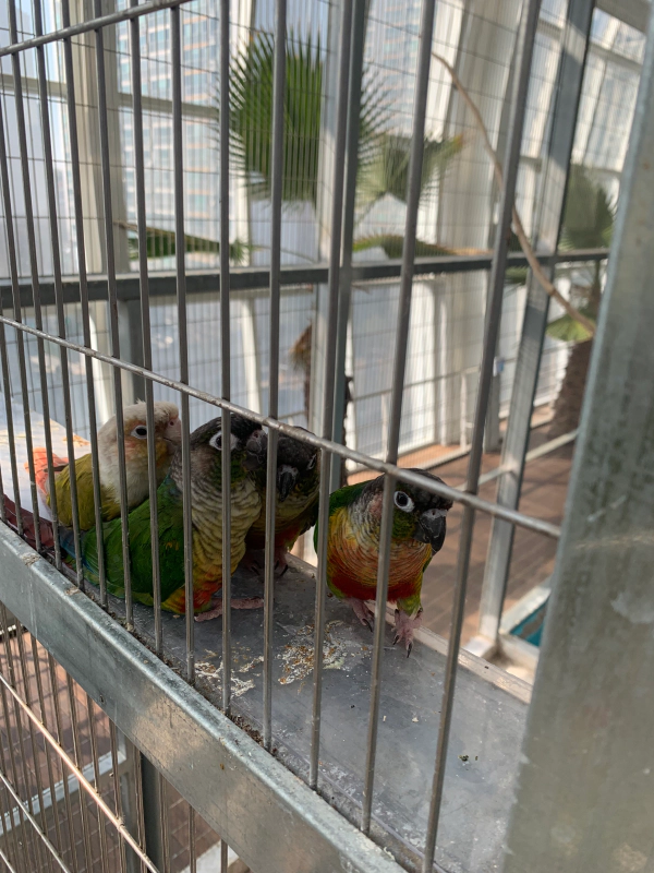 오산버드파크 할인 입장료 및 주차장 가족 여행 후기