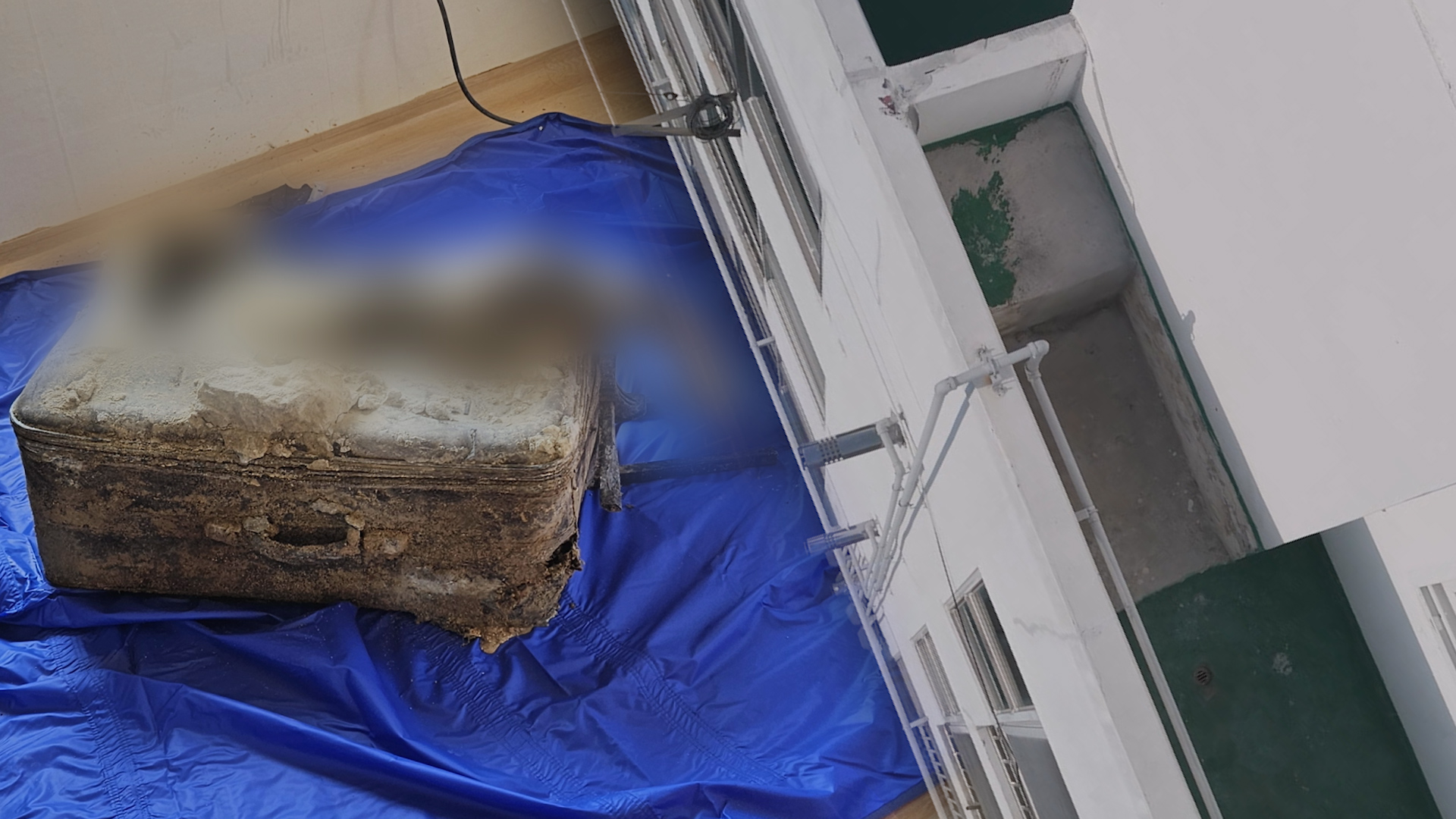 2025년 7월 6일 방송