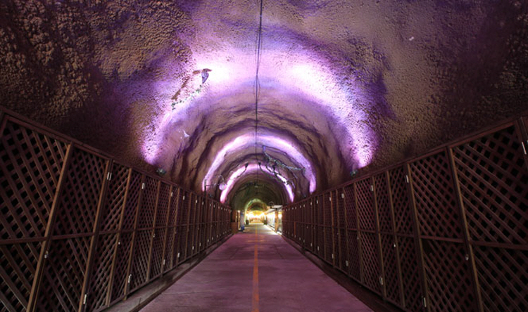 무주 머루와인동굴