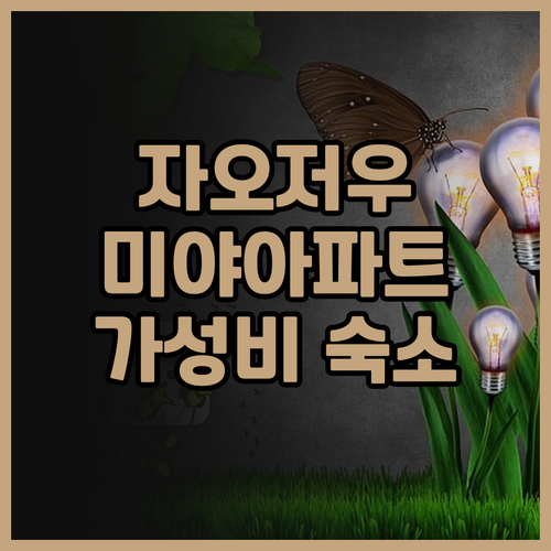 자오저우 여행객 필독 미야 아파트 칭..