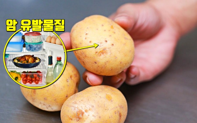 감자 냉장고 보관해도 되나요