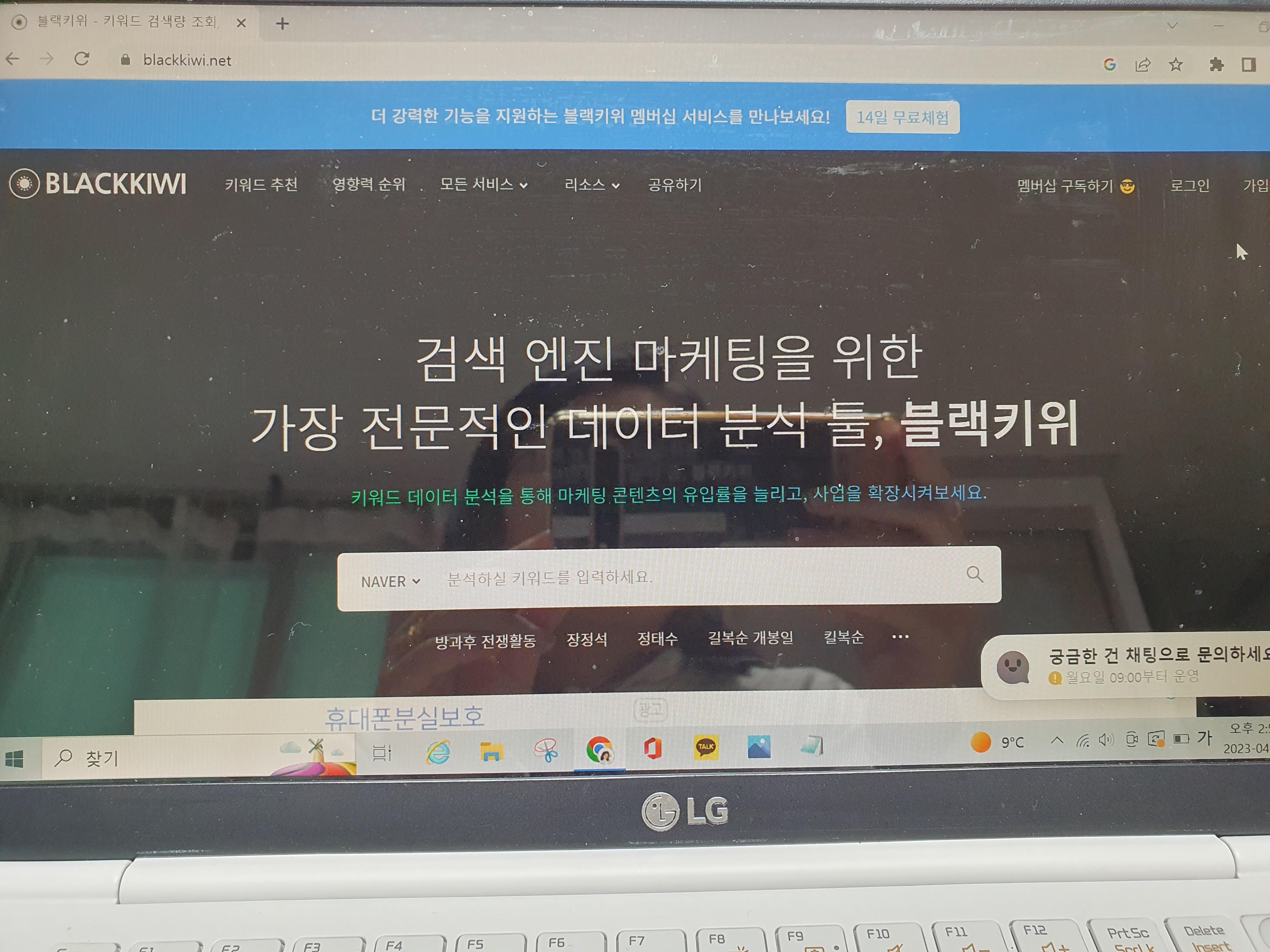 블랙키위 사용법 초보