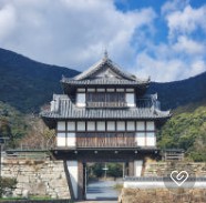 부산 대마도 히타카츠 이즈하라 배편 시간표 괸련 사진