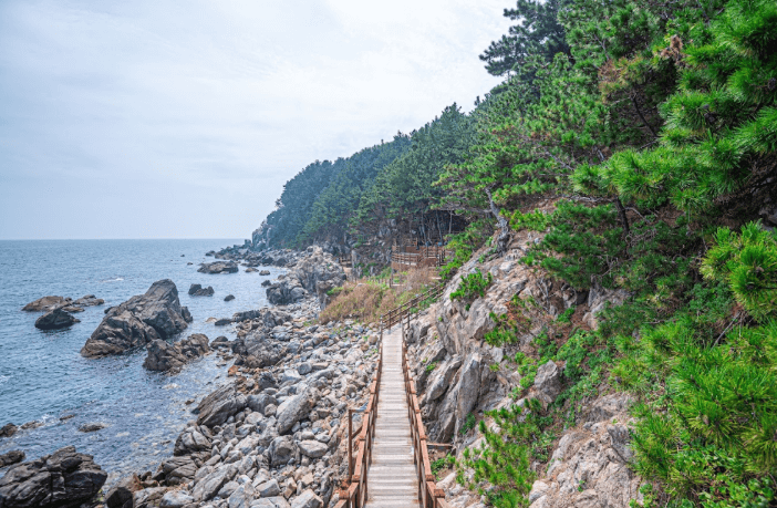 죽도섬