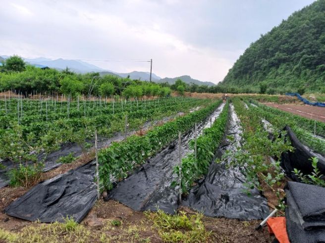 공익직불금 신청