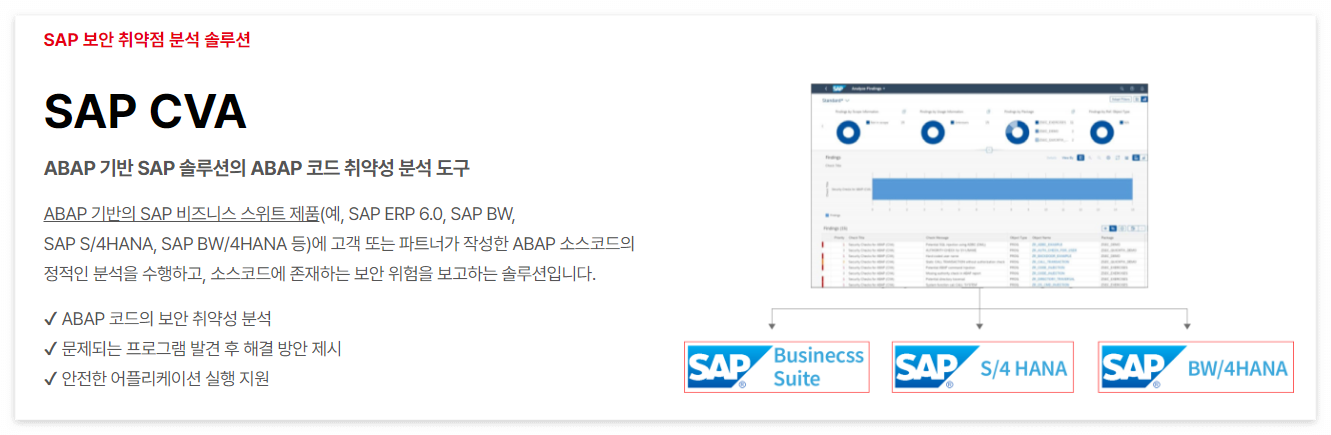인스피언 SAP CVA