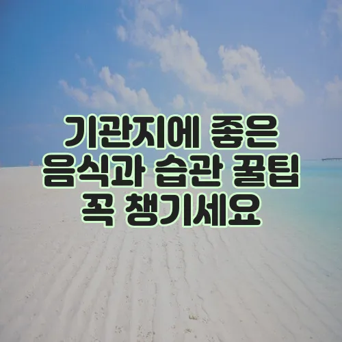 기관지에 좋은 음식과 습관 꿀팁 꼭 챙기세요