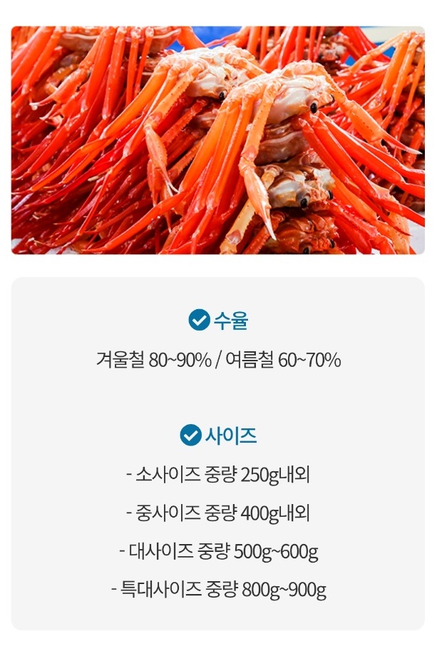 홍게-수진호-김수진