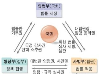 박진영 부원장 삼권분립 막내려야 발언 논란