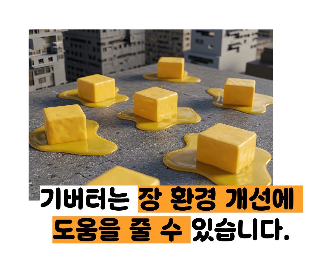 기버터 효능