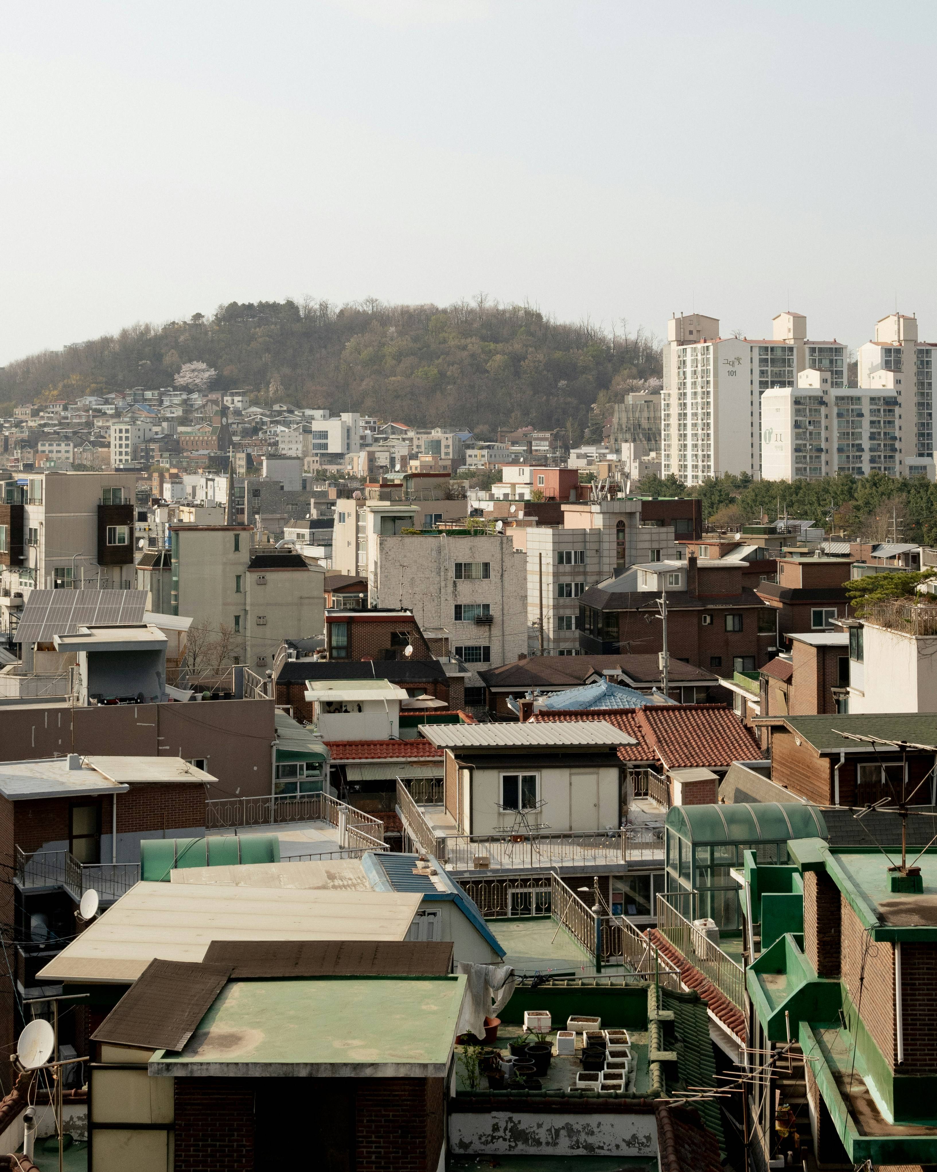 재산 건물