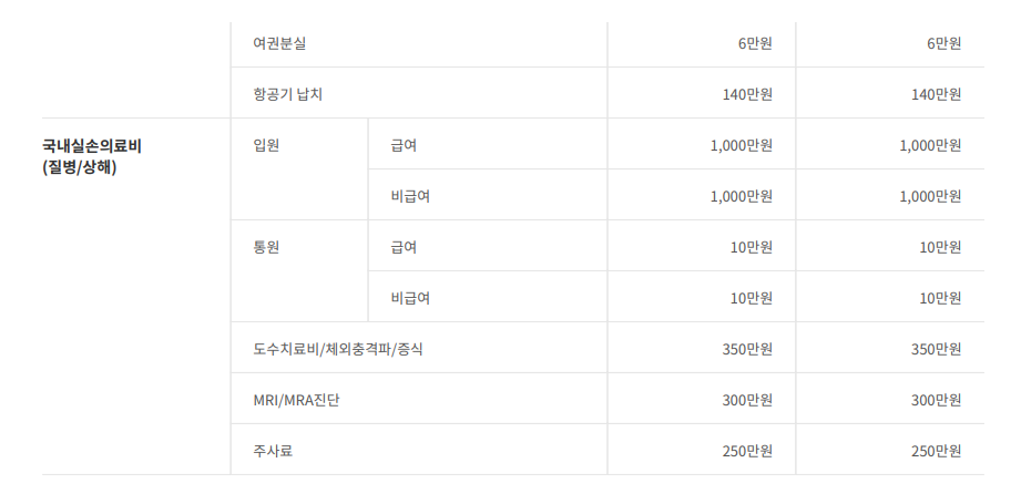 싱가포르 입국서류