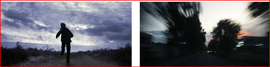 느리게 사는 삶의 가치 – 속도가 아닌 방향을 택한 하루