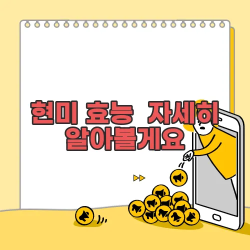 현미 효능 자세히 알아볼게요