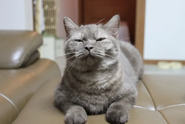 종묘 예약 관람 예약 종묘제례악 공연 예약_8