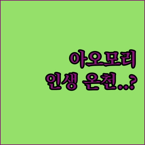 일본 아오모리 숙소 추천 TOP 5 ..