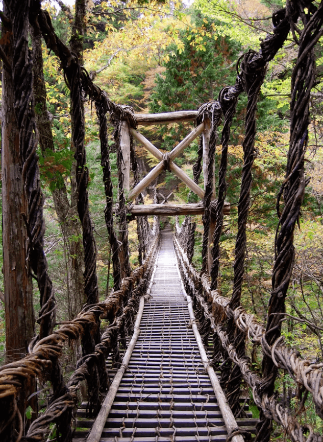 일본 도쿠시마 여행&#44; 숨겨진 힐링 명소와 맛집 추천