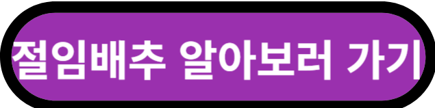 김장김치